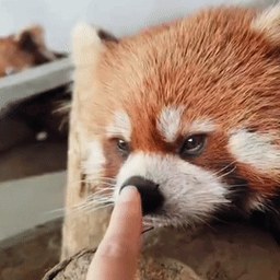 hypercuber103